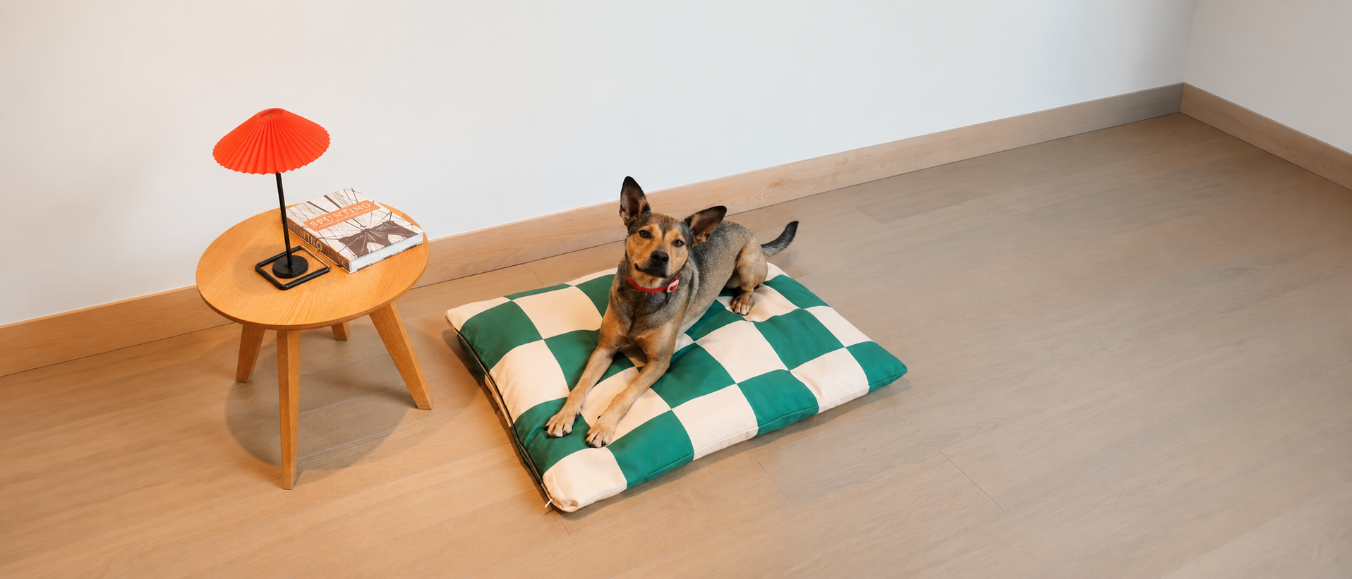 Everyday pet essentials