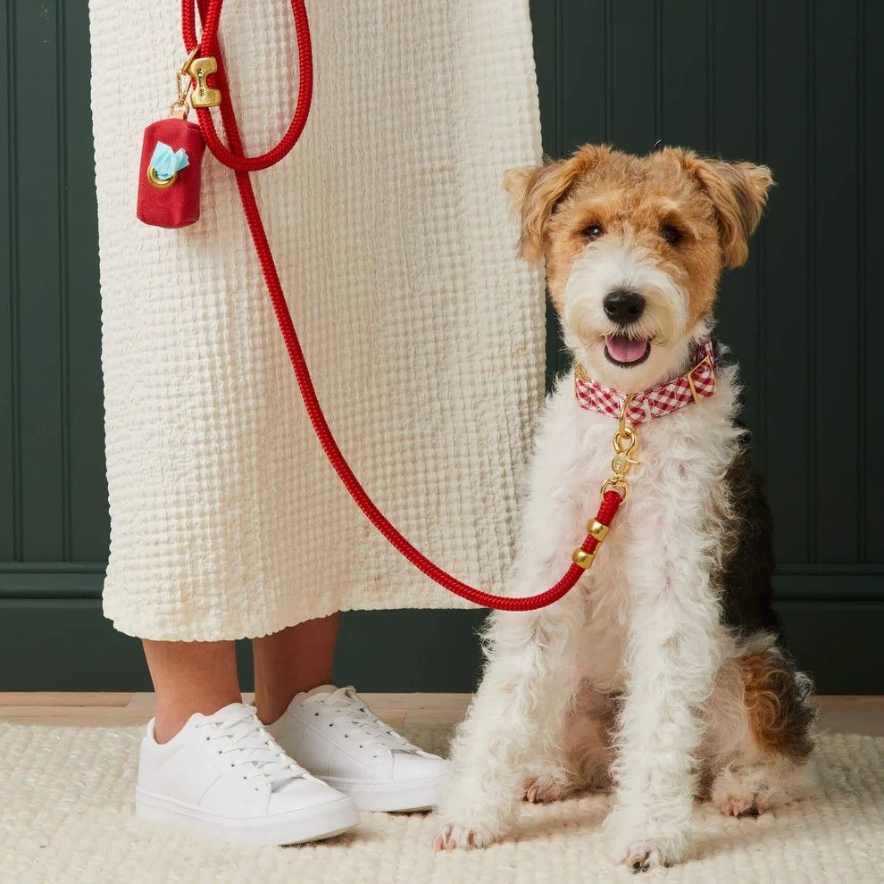 Pet walking leash for outdoor adventures