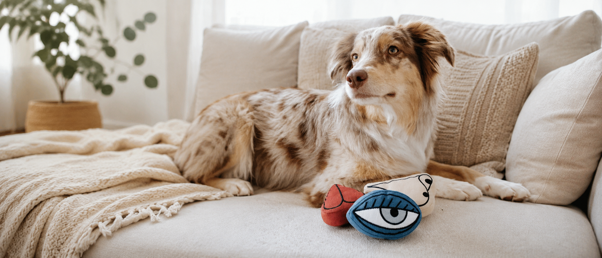 Pet relaxing comfortably at home